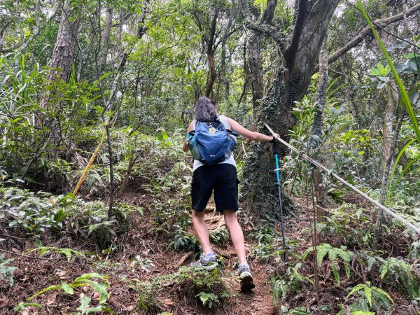 三段崎古道2835532