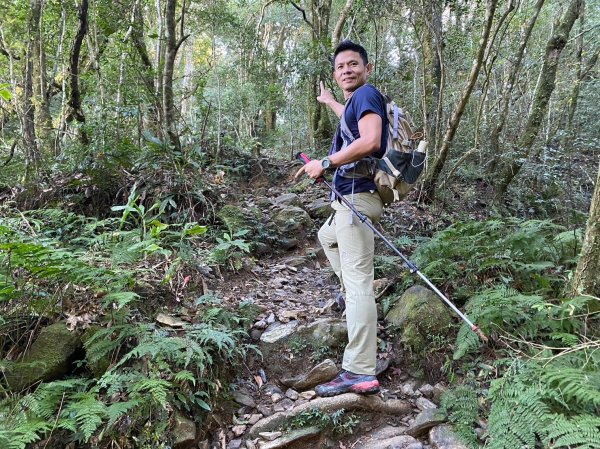 北插天山.赫威山.多崖山.神木群【天堂與地獄並存的神級路線】2390765