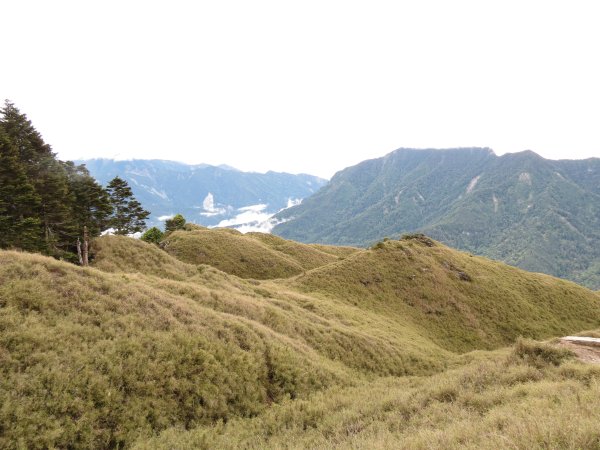 合歡山東峰-尖山-小奇萊-石門山2513101