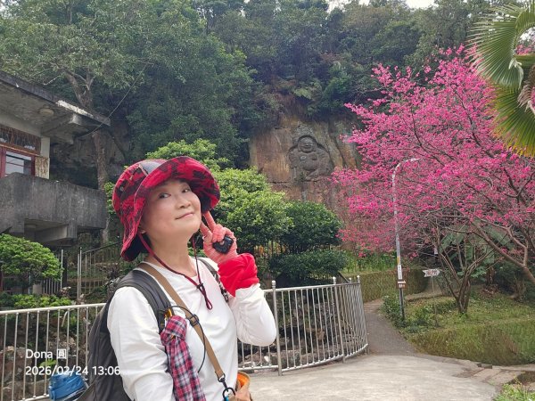 圓通寺烘爐地登山步道大O走3007082