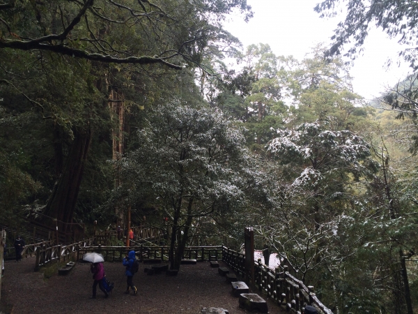 山岳之美 塔曼踏雪8401