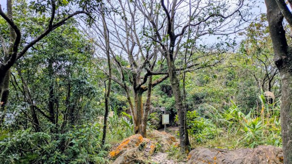 七二法則的倍數樂章2984131