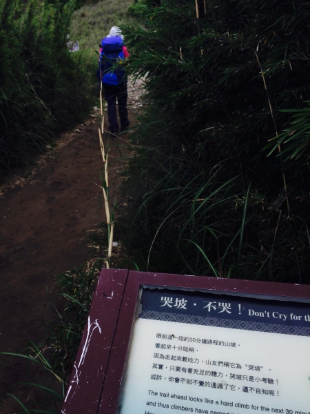 雪山主東峰 - 首座百岳之行58594