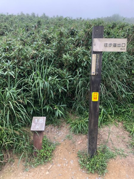 聖母登山步道+三角崙山1175805