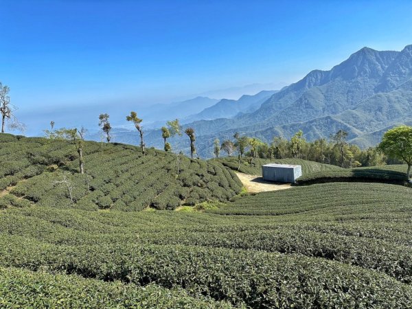 溪頭六連峰O繞2741725