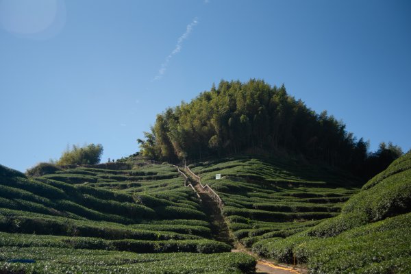 雲嘉七連峰 2025年12月2968910