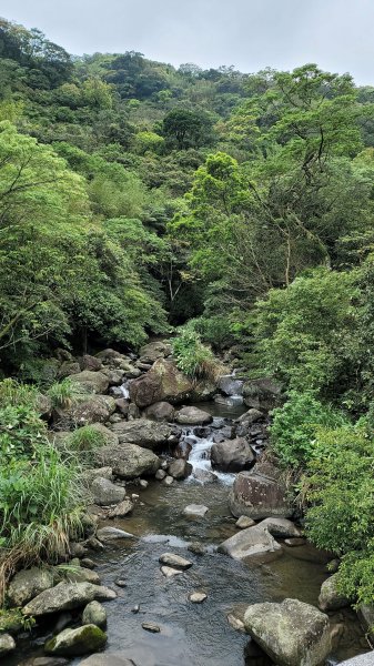 坪頂古圳步道2089575