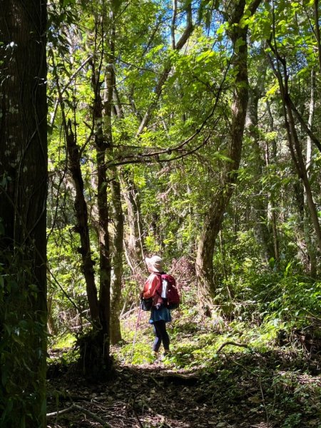 瞭望台-瓊山-望美山-獵人古道2886893