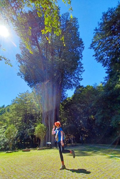 【台中和平】雪山神木步道x小雪山天池步道2933118