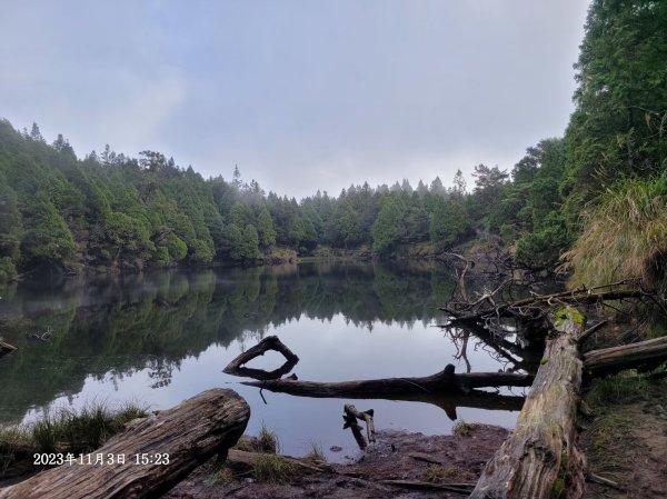 三星山+三星池+望洋山+太平山山毛櫸2432911