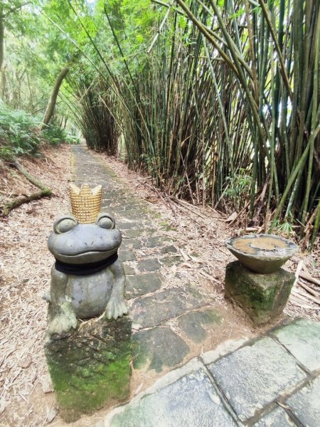 始終如一的愛心縱走2993451