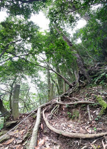 古坑嘉南雲峰.好望角.石壁山O形1500448