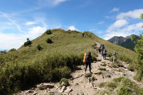 雪山主東峰｜巒大花楸之旅  2023/10/17-192372366