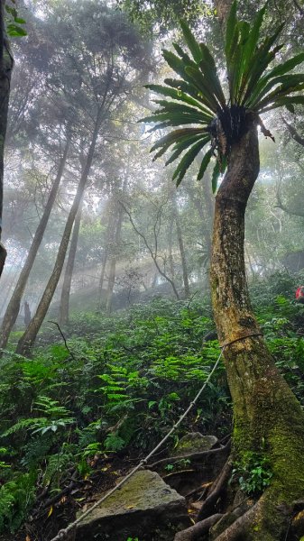 112.04.08 油羅山2123560