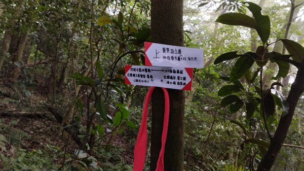 ✅巴拉卡舊水管路/開墾地遺址 (總計25段陡坡架繩.更新路條417.全段修徑開通)2382415