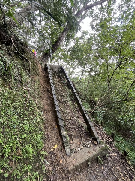 [微笑山線_第十二段] 2025_0803 五分山系_嶺腳寮山2851313