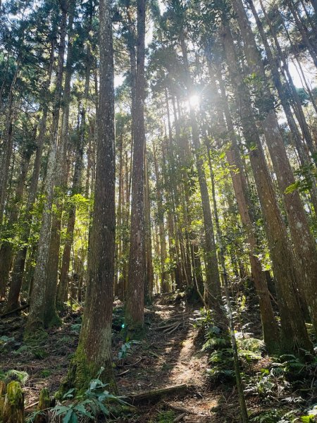 1141116油羅山2946427