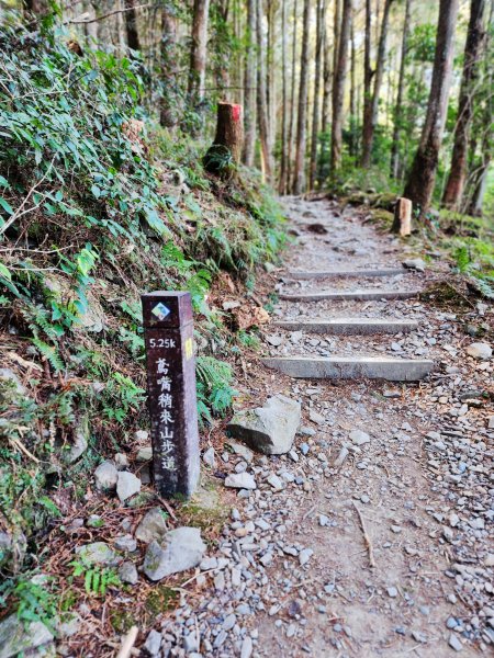 小百岳集起來-稍來山2181425