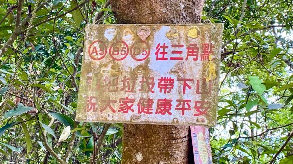 棚集山(小百岳#78)2800382