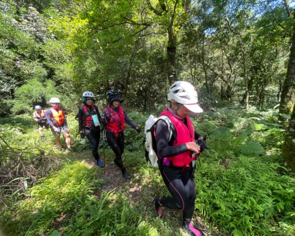 坪林-碧湖溪-蛋糕瀑布群（溯溪）2820947