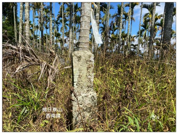 槌仔寮山、槌仔寮山西南峰、金龍山步道 連走2846706