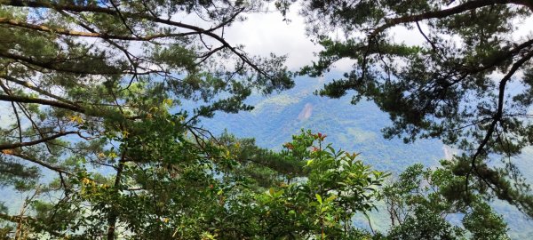 谷關七雄初體驗東卯山+屋我尾稜線2604802