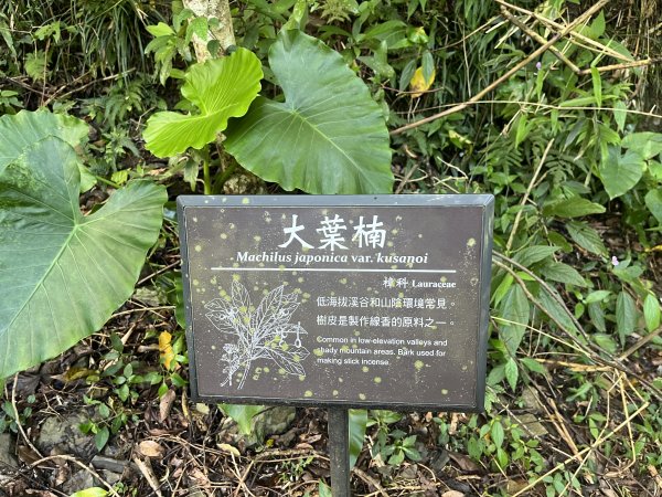 [屏步青雲 尋寶任務-03/10] 2024_0917 雙流國家森林遊樂區（瀑布步道）2597728