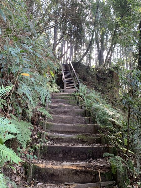 20251018台中八仙山2921443