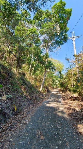 暗影山（酒桶山）台中小百岳2041977