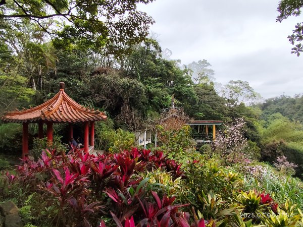 【臺北大縱走6】中華科大步道→九五峰→南港山→糶米古道→軍功山→中埔山→福州山公園→富陽自然生態公園2730081