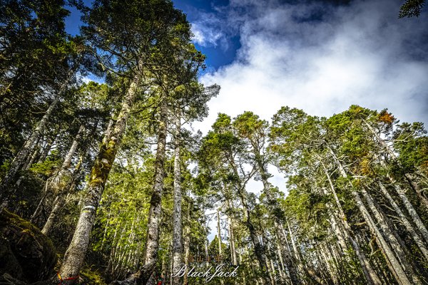 雪山主峰一日單攻963337