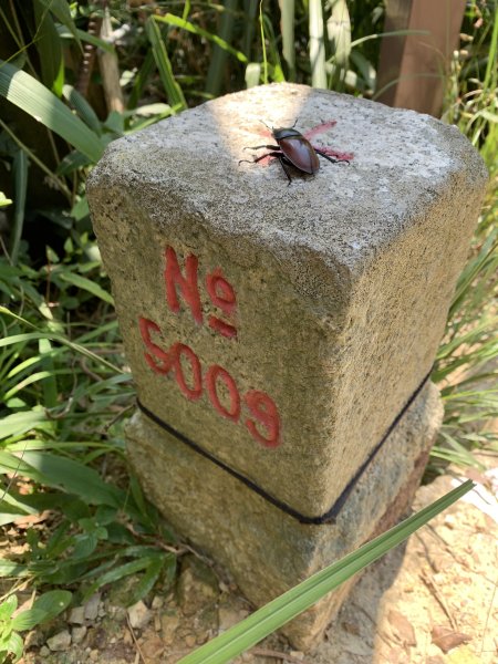 20260925南投銃櫃山-後尖山-土地公鞍嶺3128890