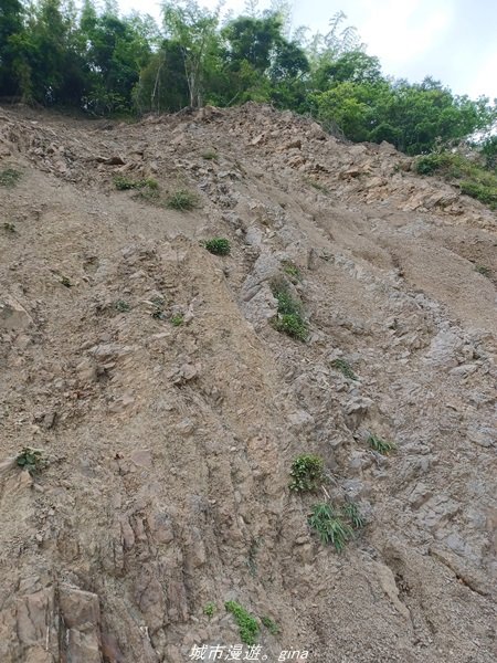 【高雄甲仙】沒有朵朵白雲。 小百岳集起來。 編號69小百岳-白雲山步道1713219