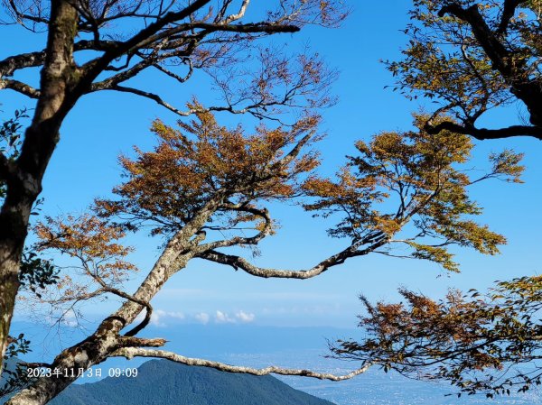 三星山+三星池+望洋山+太平山山毛櫸2432934