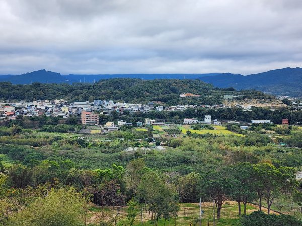 苗栗三灣｜龍峎頂步道2973715