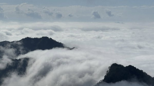 20260101小百岳馬那邦山賞楓團2973935