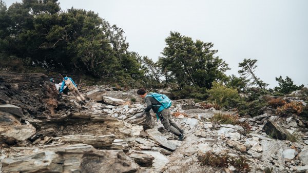 南橫百岳—關山嶺山2383961