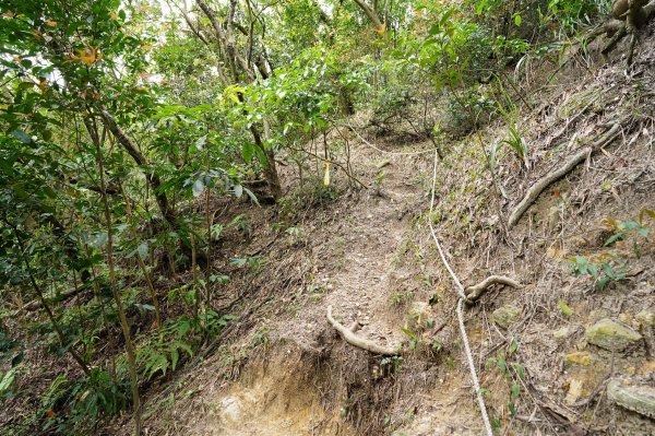 臺北 北投 嘎嘮別山、稻香山、貴子坑山2760559