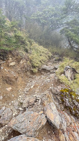 東埔-排雲-玉山西峰-玉山主峰2753190