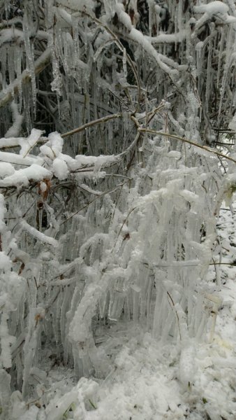 冰雪奇緣歷險記～加羅湖（未盡）1237568