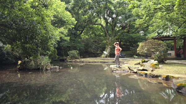 陽明山最涼爽的步道，陽明山五連瀑布，草山觀瀑吊橋，草山瀑布，大屯瀑布，小隱潭瀑布，白雲瀑布，翠峰瀑布2810275