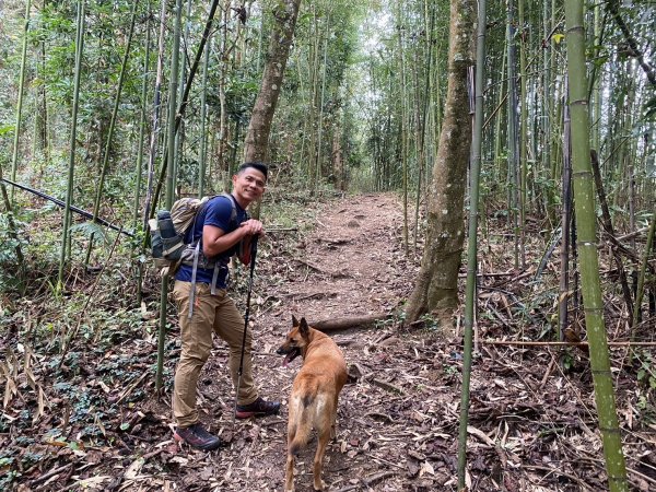 望鄉部落.獵人古道.望美山.瓊山【人與自然山林的恩怨情仇】2731406