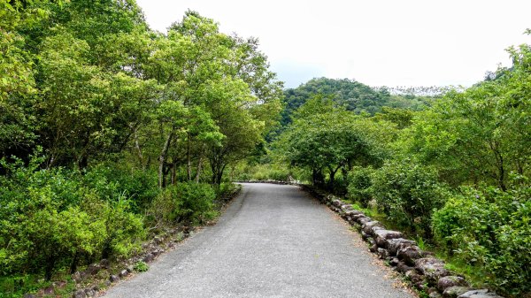 九寮溪自然步道2826869