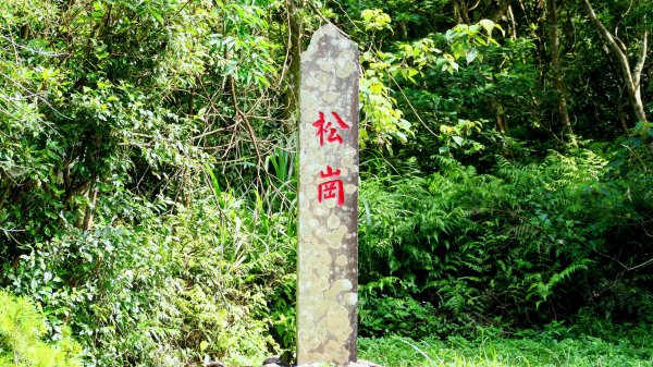 南勢坑小尖,大尖2816040