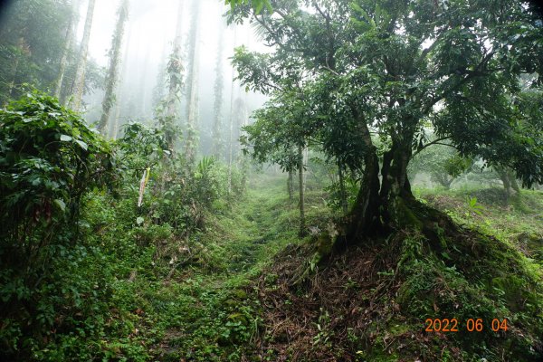 嘉義 竹崎 阿拔泉山1731223