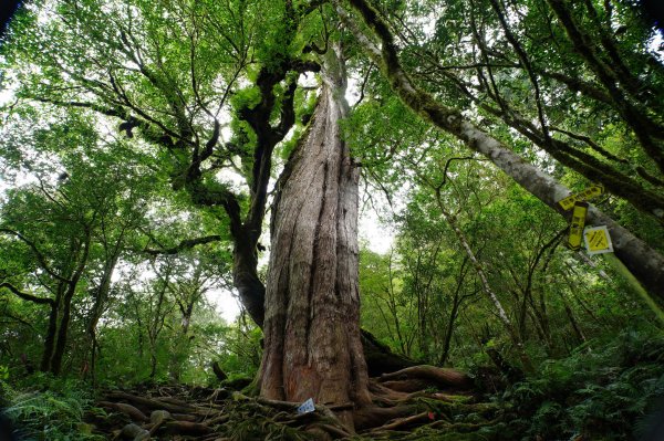 宜蘭 大同 加羅山2890270