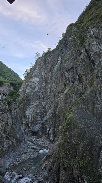 20240629-0630 嘉明湖步道+三叉山+向陽山2619563