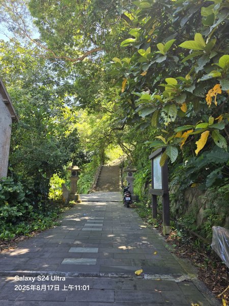 2025-08-17臺北大縱走第七段：世界山莊至飛龍步道政大後山2862360