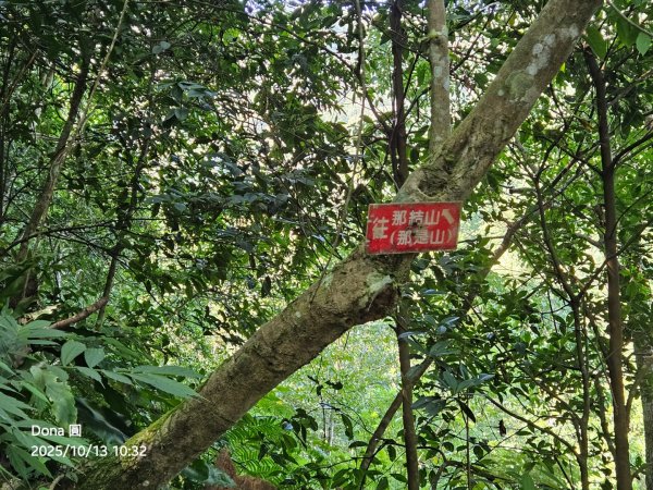復興三尖老么之那結山1520m(嘎色鬧上)全紀錄2915492