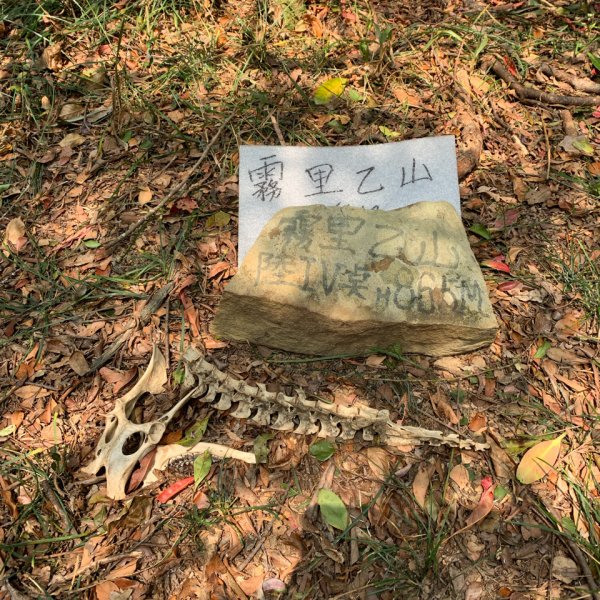 20250404屏東北獅子頭山-霧里乙山2757437